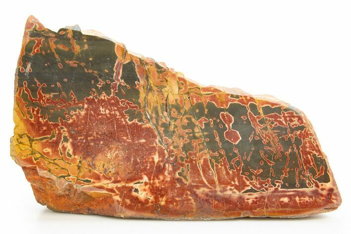 Polished Cherry Creek Jasper - China #318964